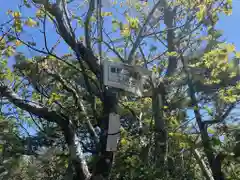 恵那神社　本社(岐阜県)