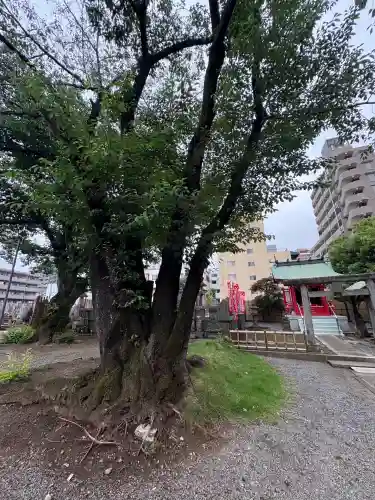 清岸寺(東京都)