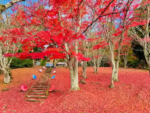 土津神社｜こどもと出世の神さま(福島県)
