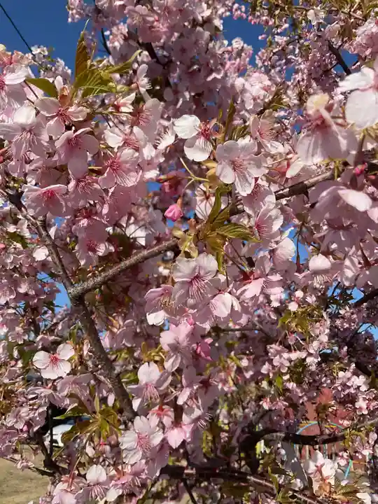 正眼寺(愛知県)