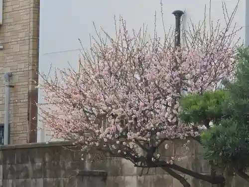 観月院真光寺(大阪府)