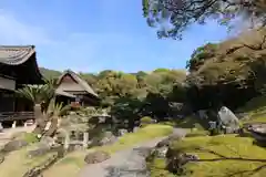 醍醐寺(京都府)