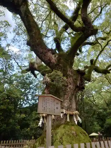 熱田神宮の自然