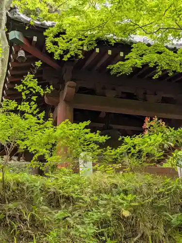 妙本寺(神奈川県)
