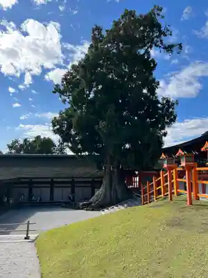 春日大社(奈良県)