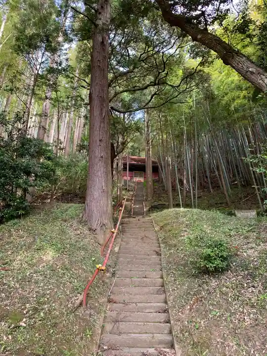 羽黒神社の自然