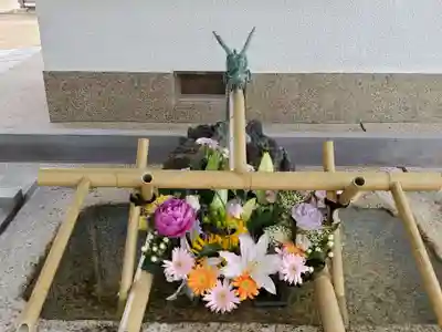 舞子六神社/まいこむの宮の手水舎