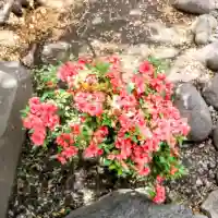 彌彦神社 (伊夜日子神社)の庭園