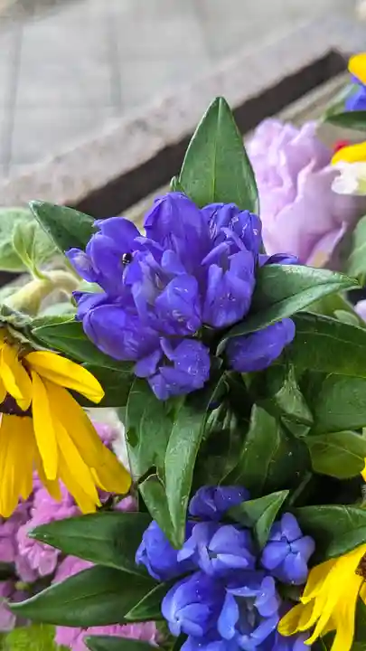 勝林寺(京都府)