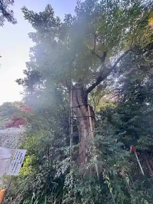 葛城一言主神社(奈良県)