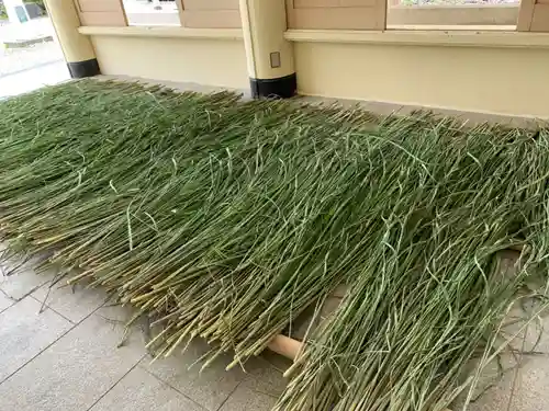 福井県護国神社(福井県)