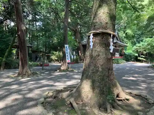 大宮八幡宮(東京都)