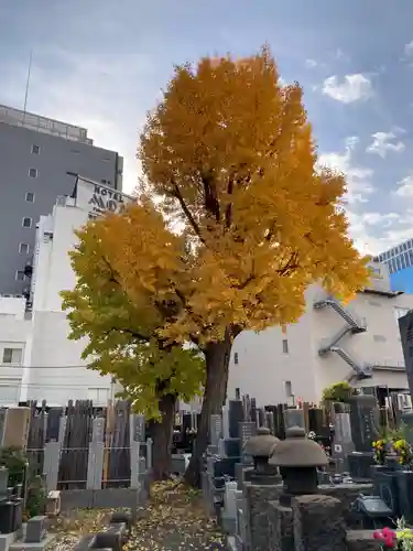 宗三寺(神奈川県)