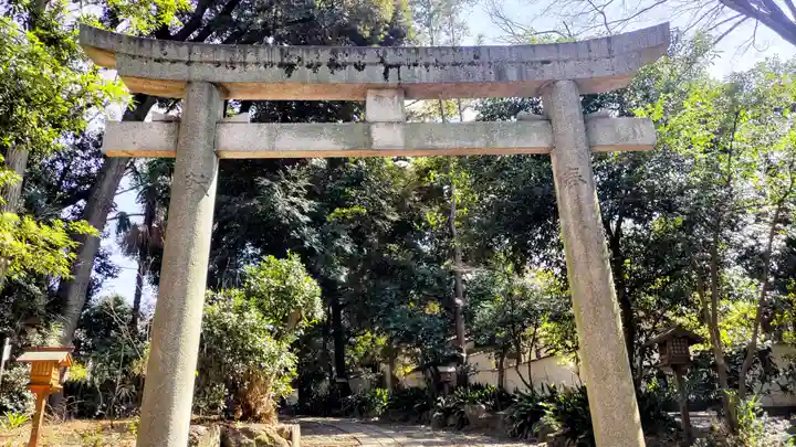 代々木八幡宮(東京都)