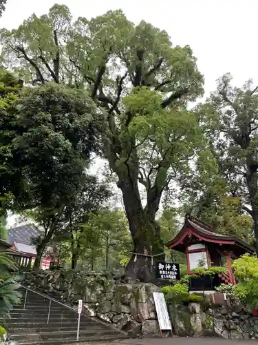 鹿児島神宮の建物その他