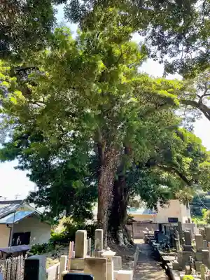 真福寺(神奈川県)
