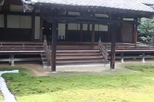 隨心院（随心院）(京都府)