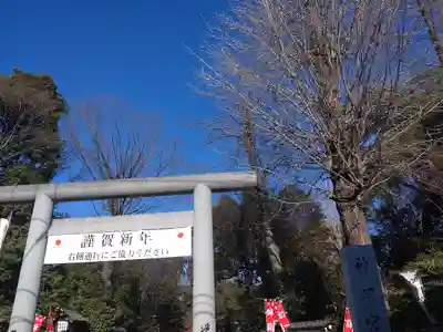 阿佐ヶ谷神明宮(東京都)