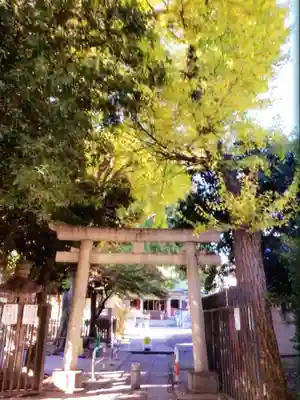 荻窪白山神社(東京都)