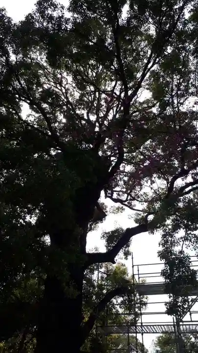 上野東照宮(東京都)