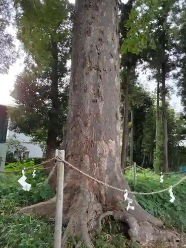 下宿八幡神社の庭園