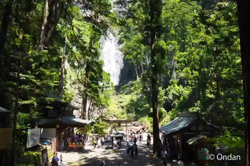 飛瀧神社（熊野那智大社別宮）(和歌山県)