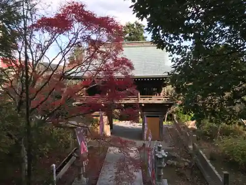 大山寺の山門