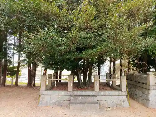 熊野神社の自然
