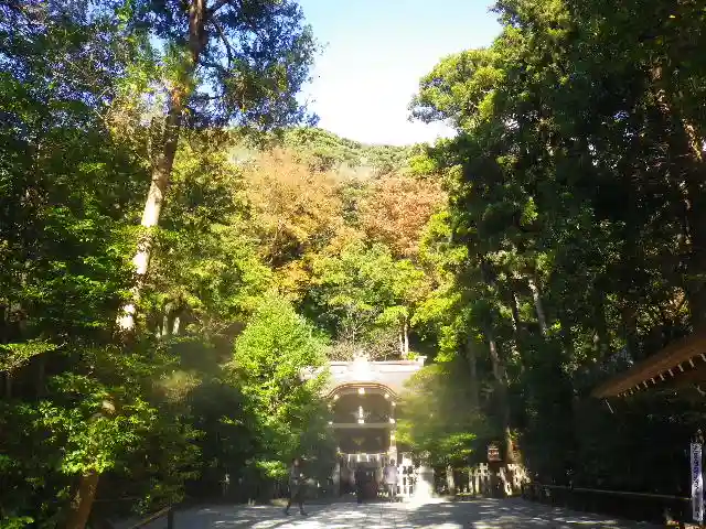 鶴岡八幡宮の自然