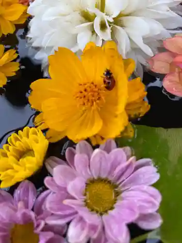 大鏑神社の手水舎