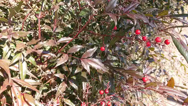 大慈寺(栃木県)