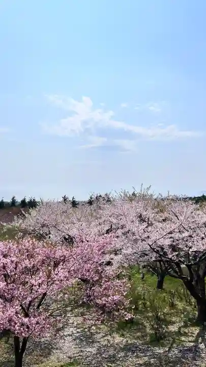 石崎地主海神社(北海道)