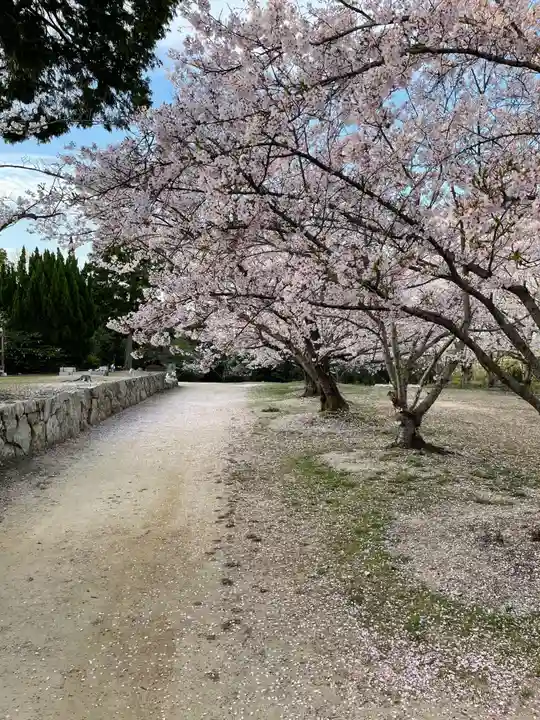 貴船神社の自然