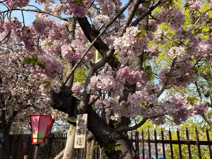 大阪天満宮(大阪府)