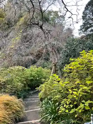 明月院(神奈川県)