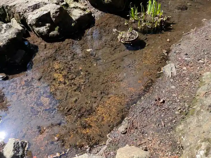 妙義神社(群馬県)