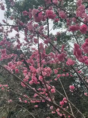 春日大社(奈良県)