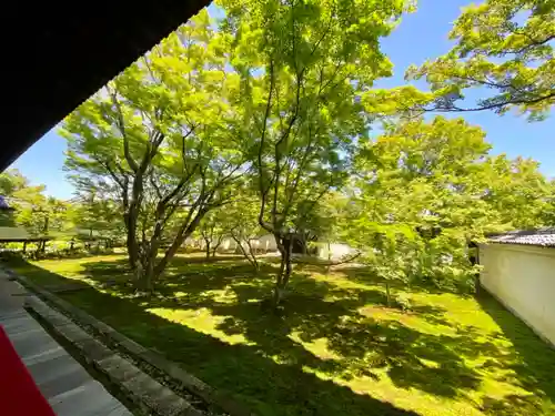 妙覺寺（妙覚寺）の庭園