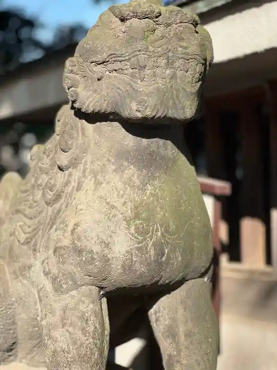 戸越八幡神社の狛犬