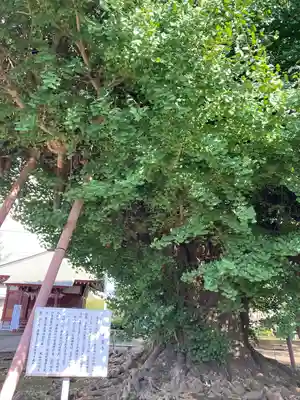 千葉寺(千葉県)