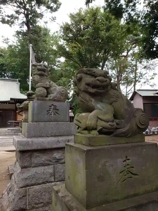 下高井戸八幡神社の狛犬