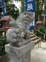 川越八幡宮の狛犬