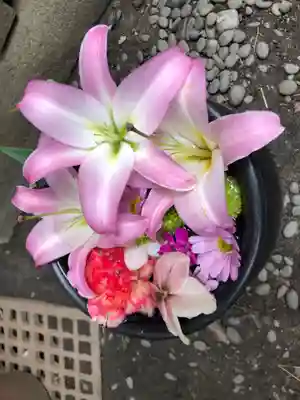 菅生神社の手水舎