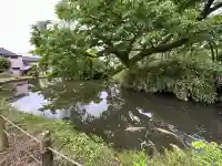 府中八幡宮(新潟県)