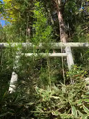 神社(名称不明)の鳥居