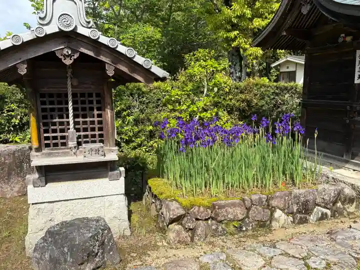 大池寺の{uncategorized: "未分類", other: "その他", undefined: "問題あり", building: "その他建物", grave: "お墓", sacred_gate: "鳥居", guardian: "狛犬", statue: "像", buddha: "仏像", history: "歴史", nature: "自然", garden: "庭園", animal: "動物", pagoda: "塔", temizu: "手水舎", mountain_gate: "山門・神門", sanctuary: "本殿・本堂", subordinate: "末社・摂社", art: "芸術", scenery: "景色", jizo: "地蔵", ema: "絵馬", goshuin: "御朱印", omikuji: "おみくじ", items: "授与品その他", amulet: "お守り", goshuincho: "御朱印帳", eats: "食事", festival: "お祭り", votive_dance: "神楽", shichigosan: "七五三参", wedding: "結婚式", experience: "体験その他", initially: "初詣", around: "周辺", anti_infection: "感染症対策"}