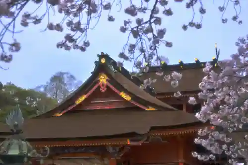 富士山本宮浅間大社(静岡県)