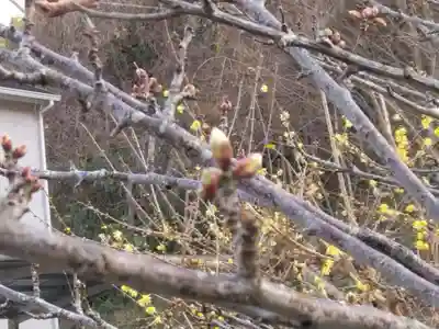 光則寺(神奈川県)