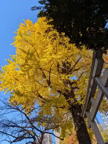 熊野神社の自然