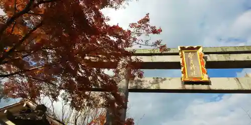 梨木神社の鳥居